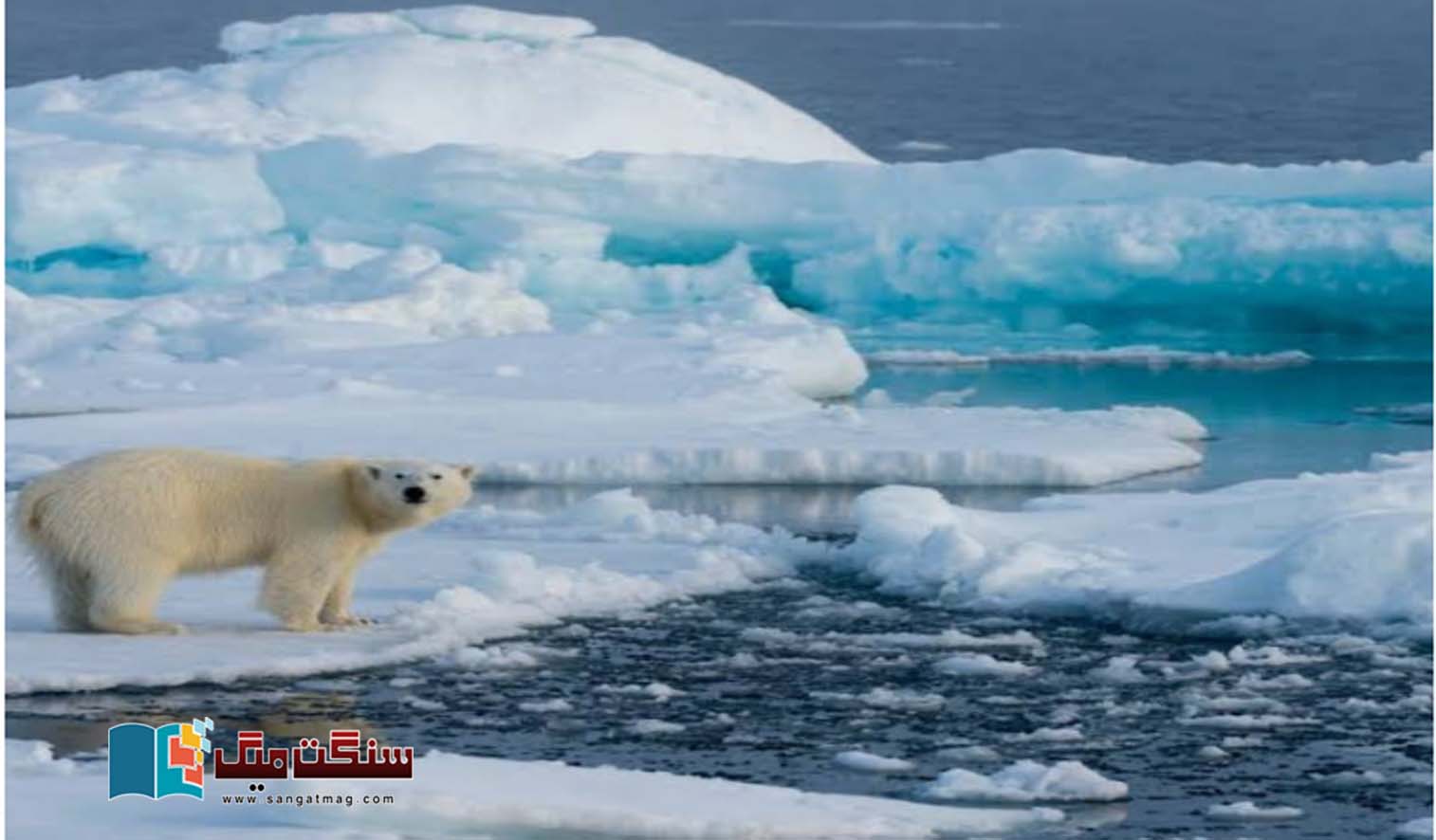 Almost-all-of-the-Arctic-sea-ice-may-melt-by-2027-What-if-this-happens
