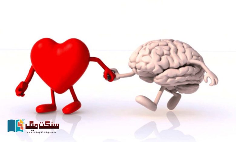 Our-heart-has-a-brain-of-its-own-and-it-is-amazingly-complex-Modern-research