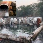 The-story-of-a-flowing-spring-in-the-Thar-desert-which-has-been-flowing-continuously-since-the-2005-earthquake