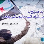 invasion-of-the-shadows-of-Syria-in-the-region