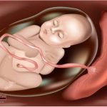 A-new-study-tells-the-surprising-story-of-food-leakage-in-the-mothers-womb-during-pregnancy