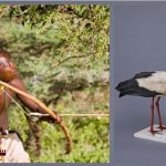 In-1822-an-arrow-shot-in-Africa-reached-northern-Germany-An-event-which-revealed-many-secrets