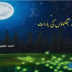 Procession-of-stars-and-fireflies