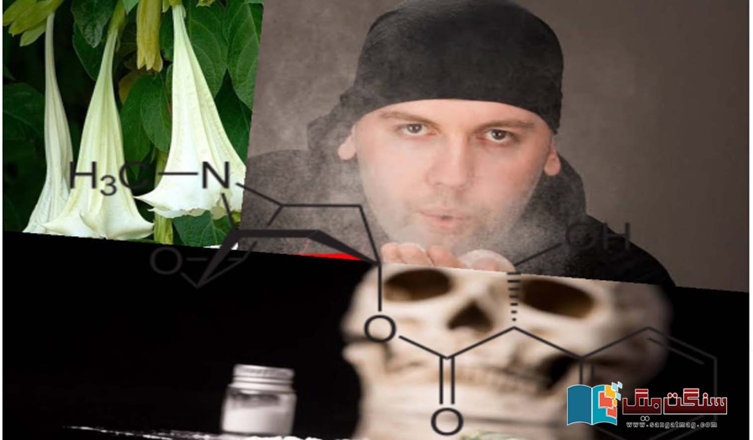 Devils-Breath-Scopolamine-Really-Make-You-a-Zombie