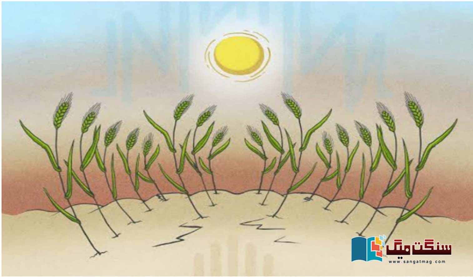 Pakistan-The-helplessness-of-the-farmers-the-indifference-of-the-rulers-and-the-threat-of-wheat-scarcity-knocking-at-the-door