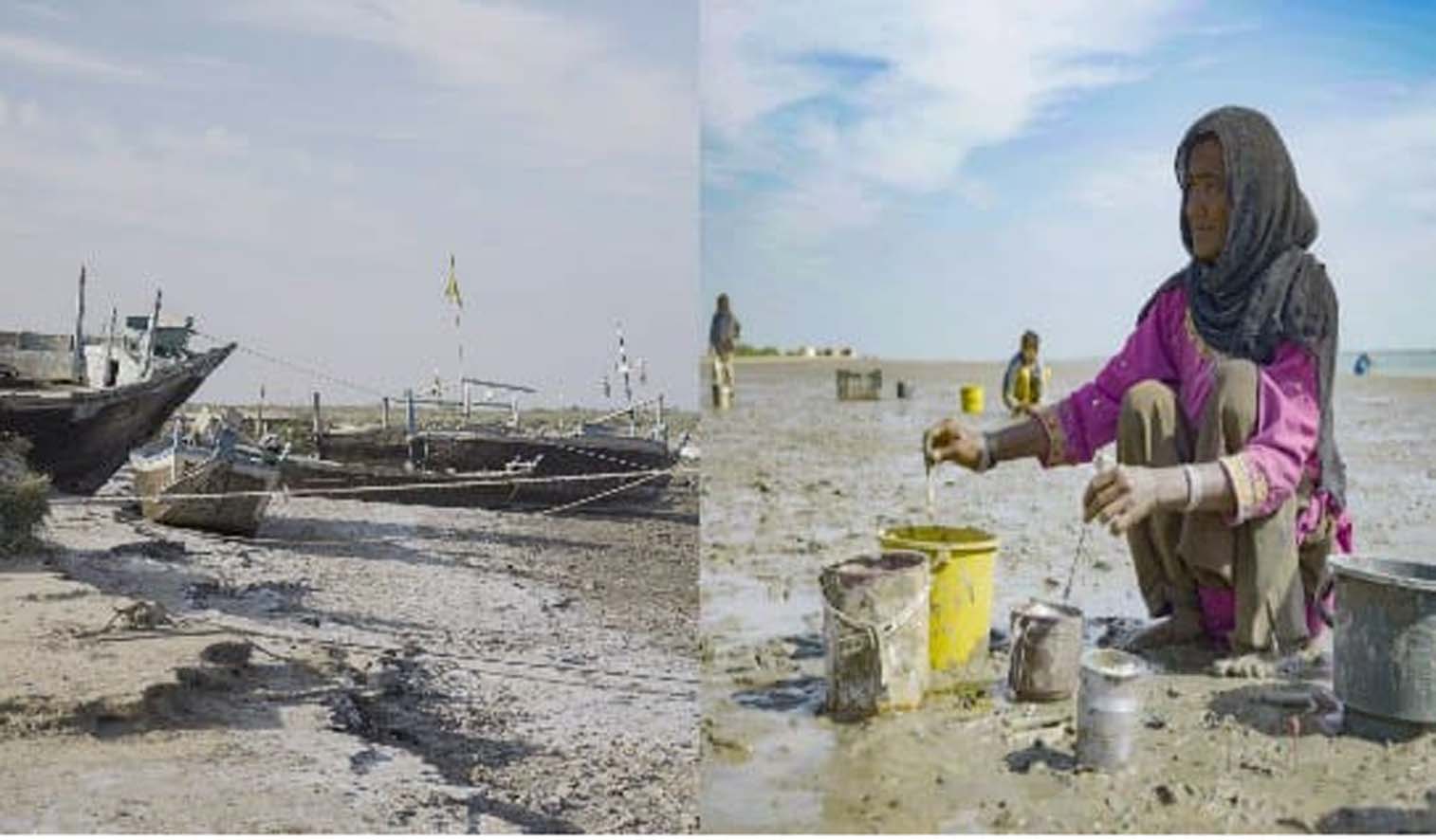 Indus-Delta-A-heritage-sinking-into-the-sea-and-new-canals-on-the-Indus