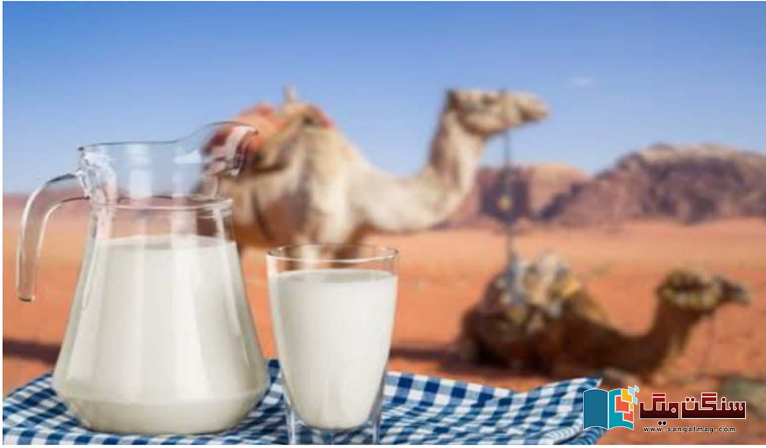 New-Discovery-of-an-Ancient-Food-Camel-Milk-Nutrition-Research-and-Future-Prospects