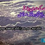 The-horrifying-situation-of-the-dying-Indus-Delta