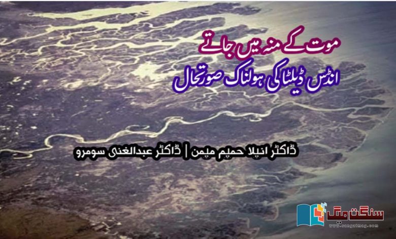 The-horrifying-situation-of-the-dying-Indus-Delta