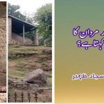 There-are-large-stone-rocks-on-which-Ashokas-edicts-are-engraved