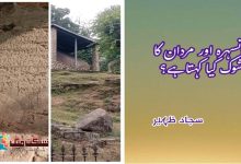 Photo of مانسہرہ اور مردان کا اشوک کیا کہتا ہے؟