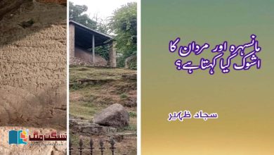 Photo of مانسہرہ اور مردان کا اشوک کیا کہتا ہے؟