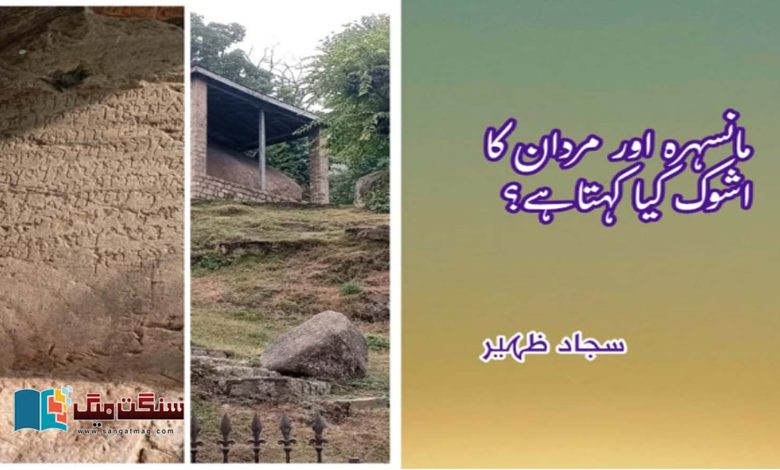 There-are-large-stone-rocks-on-which-Ashokas-edicts-are-engraved