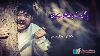 Photo of پاگل کے ہاتھ میں چھری (افسانہ)