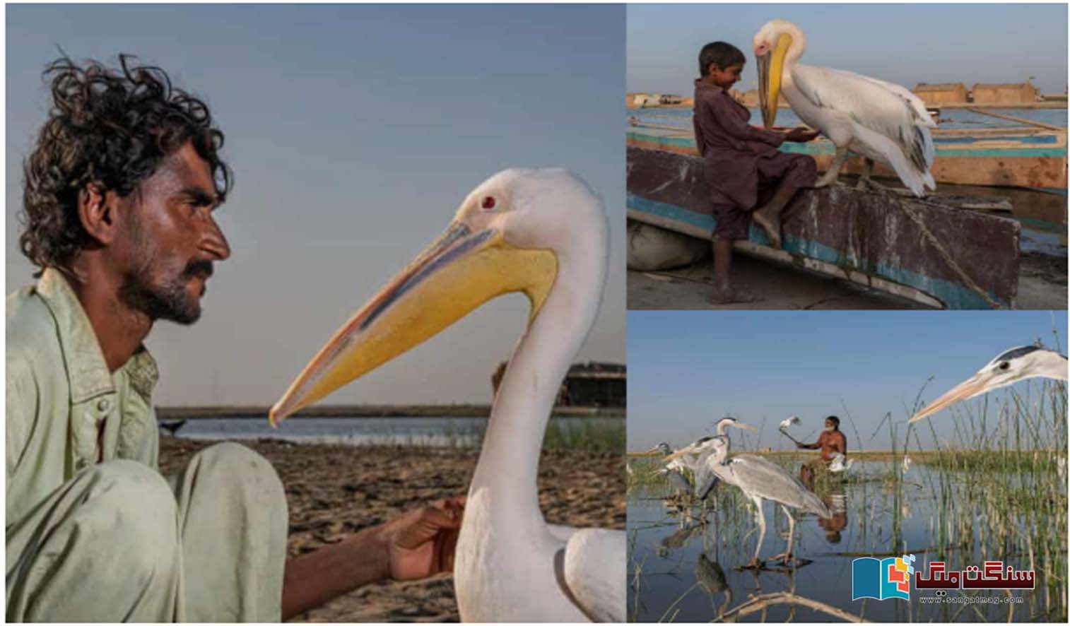 A-silent-poison-and-the-tragic-story-of-a-sinking-civilization