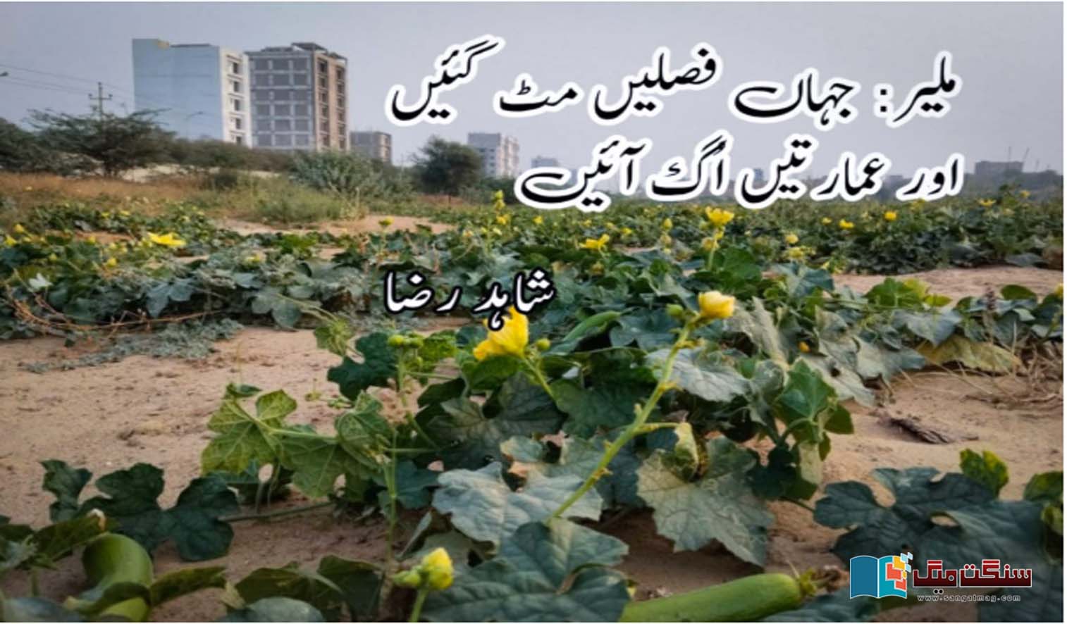 reducing-agricultural-land-in-Malir