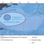 sargasso sea