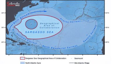 sargasso sea