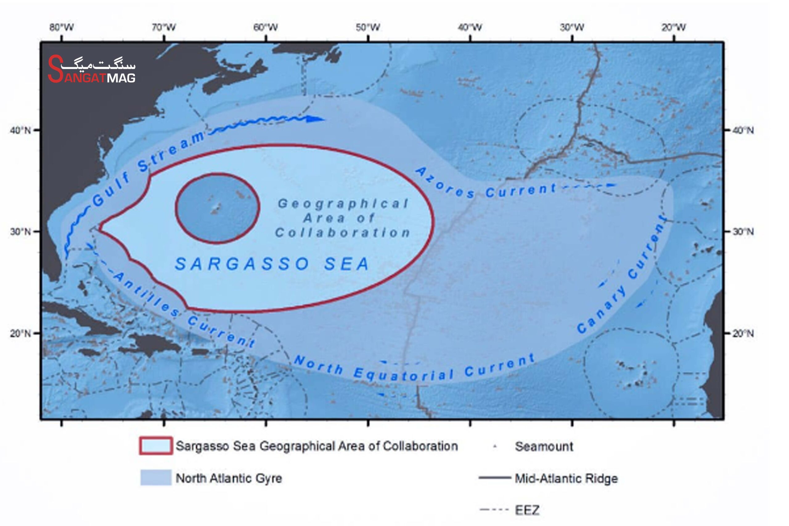 sargasso sea