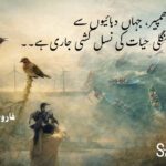 Jhimpir wildlife crisis sangat mag