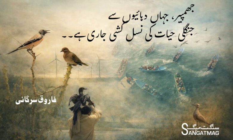 Jhimpir wildlife crisis sangat mag