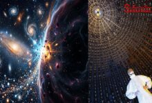 Antimatter Neutrinos