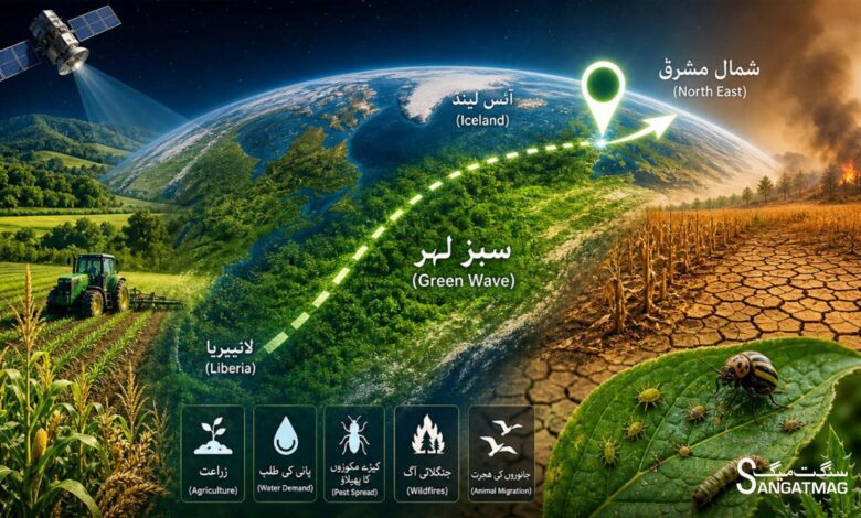 green migration sangat mag